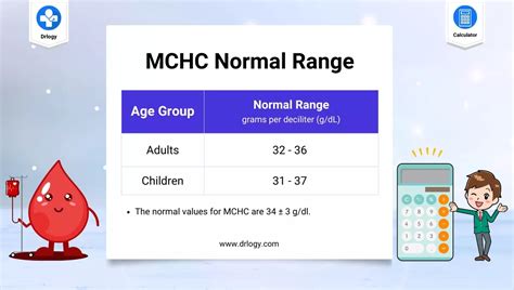 MCHC Blood Test (Mean Corpuscular Hemoglobin Concentration).